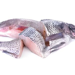 tilapia fish