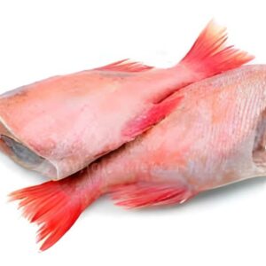 Red bream fish