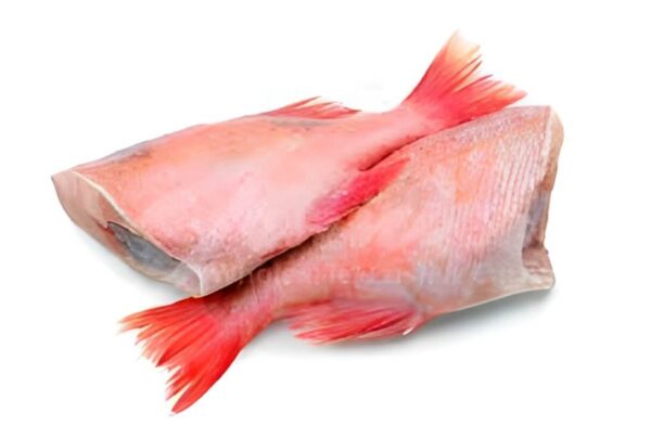 Red bream fish